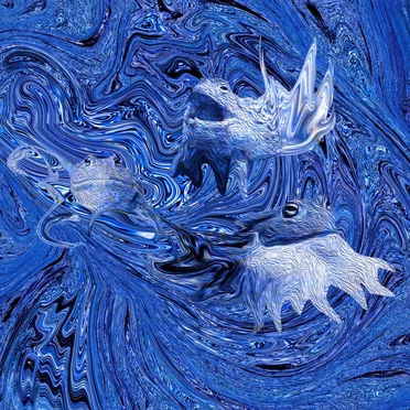 The Pyxicephalus Sessions