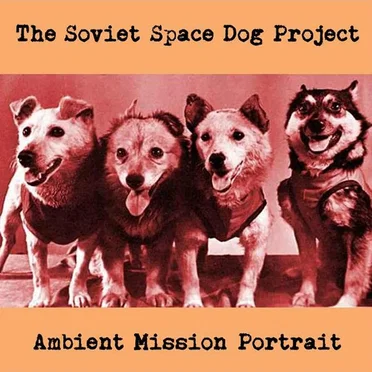 Ambient Mission Portrait