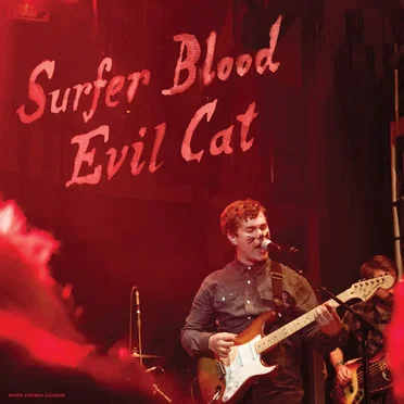 Evil Cat