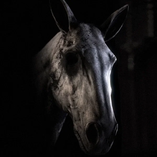 Everybody Needs Someone