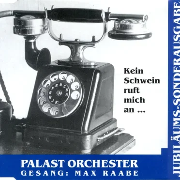 Jubiläums-Sonderausgabe 1987–1992: Kein Schwein ruft mich an …