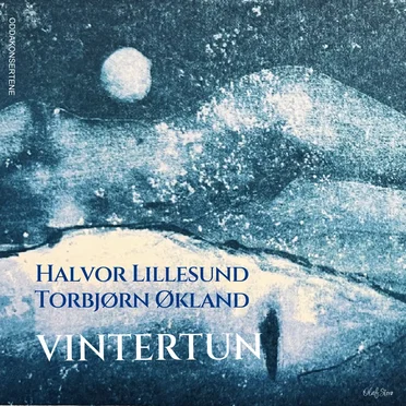 Vintertun