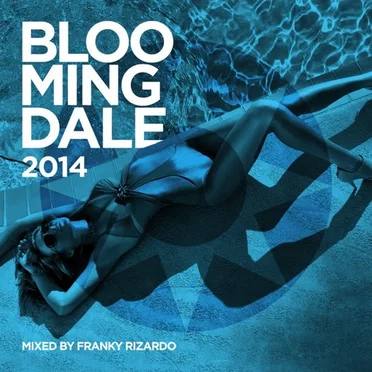 Bloomingdale 2014 by Various Artists - album cover