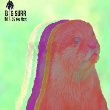 Miss You Most EP by Big Surr - album cover