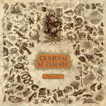 A Distant Wildlife by Graham Mushnik - album cover