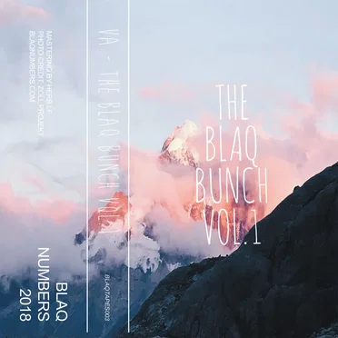 The Blaq Bunch, Vol.1 by Various Artists - album cover