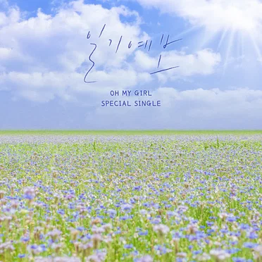 일기예보