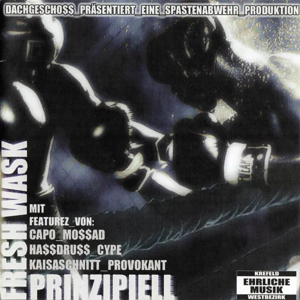 Prinzipiell