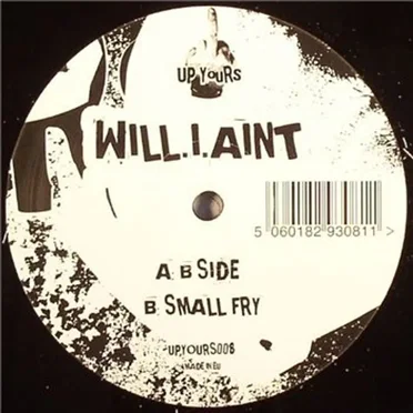 B Side / Small Fry by Will.I.Aint - album cover