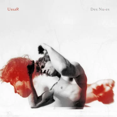 Des Nu.es by UssaR - album cover