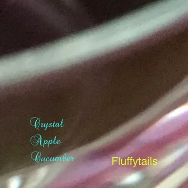 Crystal Apple Cucumber by Fluffytails - album cover