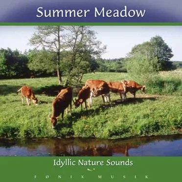 Summer Meadow