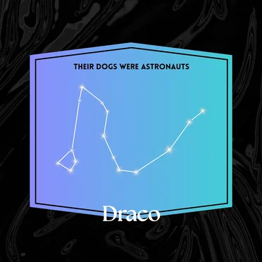 Draco by Their Dogs Were Astronauts - album cover