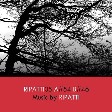 Ripatti05 by Ripatti - album cover