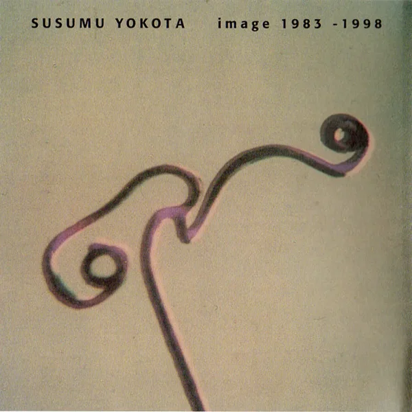 Susumu Yokota