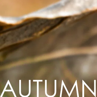 AUTUMN o3 by and all was bright - album cover