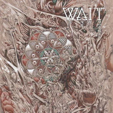We Are in Transit by WAIT - album cover