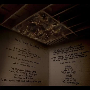 Down From the Rafters Remixes