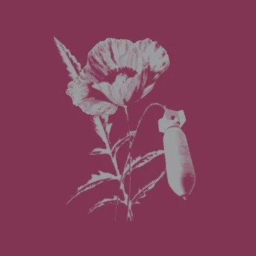 Dead Summer Moon by Missiles - album cover