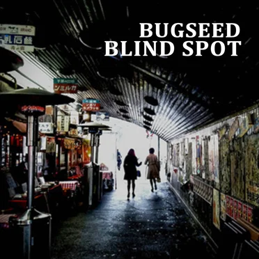 Blind Spot