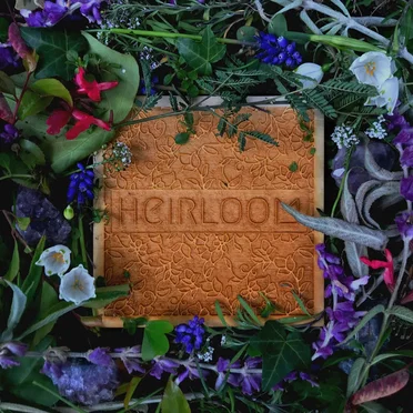Overgrowth by Heirloom - album cover