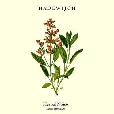 Herbal Noise by Hadewijch - album cover