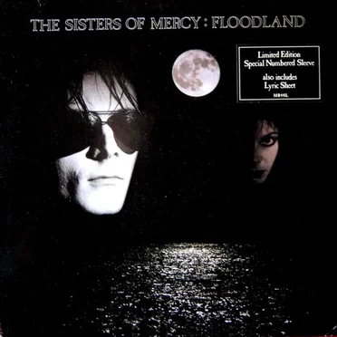 Floodland