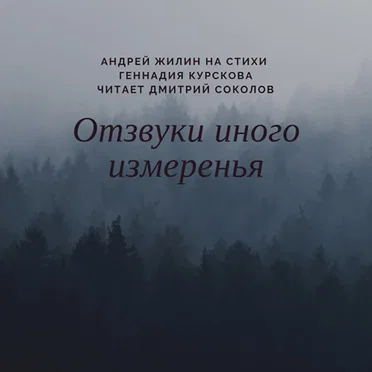 Хроники Пустоты — Отзвуки Иного Измеренья by Андрей Жилин - album cover