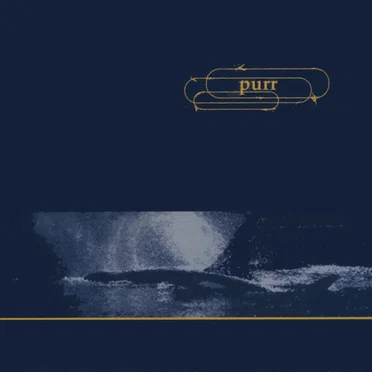 Whales Lead To The Deep Sea