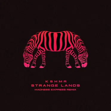 Strange Lands (Madness Express Remix)