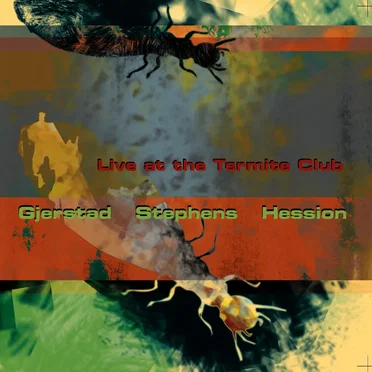 Live at the Termite Club