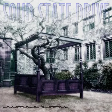 Insomnia Blooms by Solid State Drive - album cover