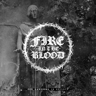 The Darkness In Goodbye by Fire In The Blood - album cover
