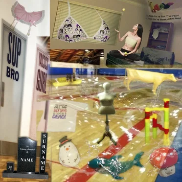 SICK DAYS. (HERE COMES THE FLOOD. OR, "WHY NOTHING GOES RIGHT.") by SHOPPER - album cover