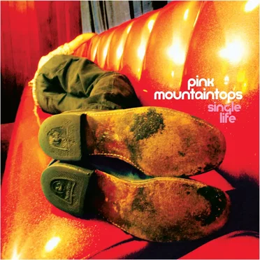 Single Life by Pink Mountaintops - album cover