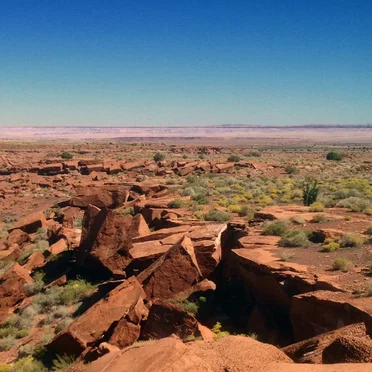 A Healing the Earth Journey