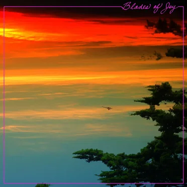 Blades of Joy by Blades of Joy - album cover