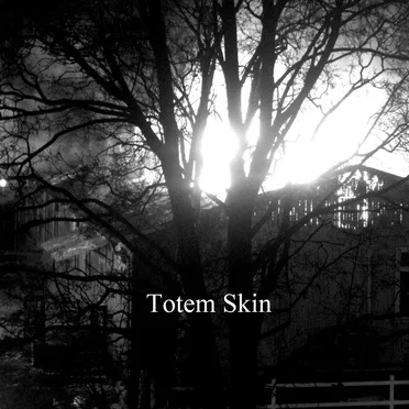 Totem Skin by Totem Skin - album cover