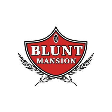 BLNTMNSN (Live @ WUTK 90.3) by Blunt Mansion - album cover