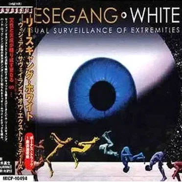 Visual Surveillance of Extremities