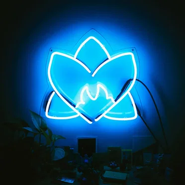 Radiating Light: Orchid Tapes & Friends by Various Artists - album cover