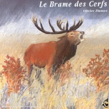Le Brame des cerfs / Rutting Red Deers