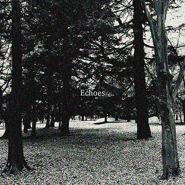 Echoes