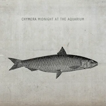 Midnight at the Aquarium