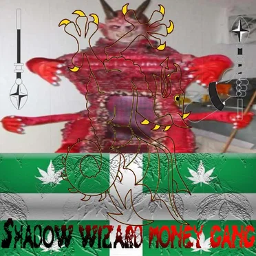 5K1NW4LK3R by Shadow Wizard Money Gang - album cover