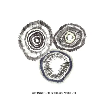 Welington Irish Black Warrior