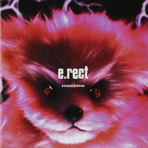 e.rect
