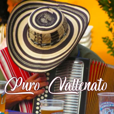 Puro vallenato by Various Artists - album cover