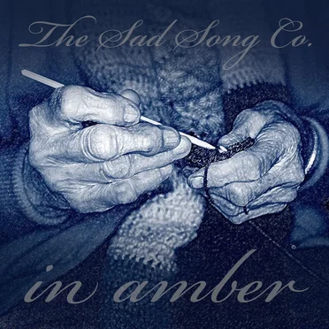 in amber by The Sad Song Co. - album cover