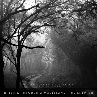 Driving Through A Wasteland